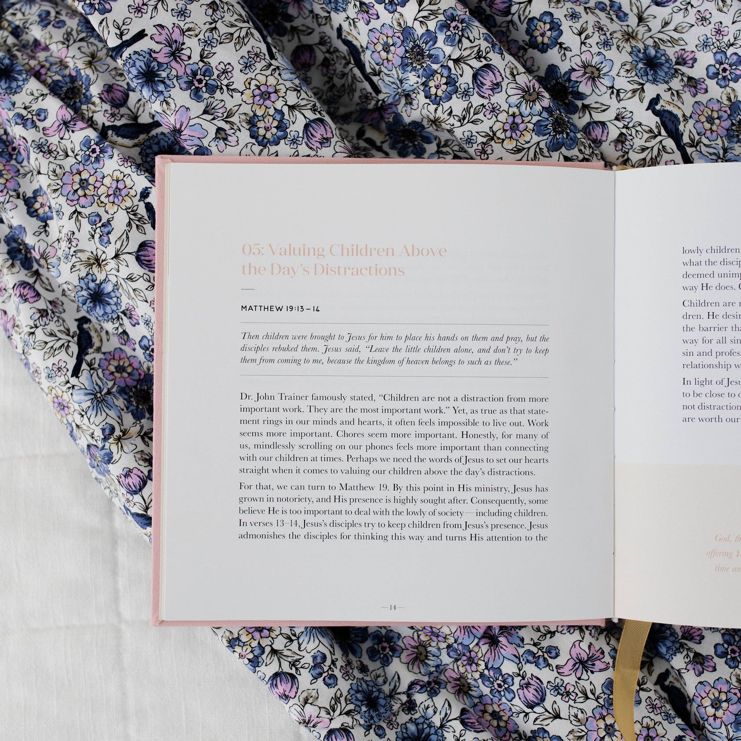 Steadfast Motherhood by The Daily Grace Co | 60 Days of Abiding in Christ