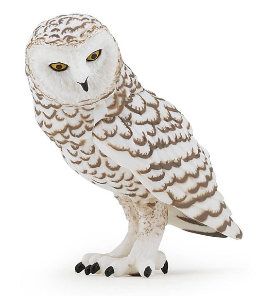 Snowy Owl