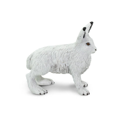Arctic Hare