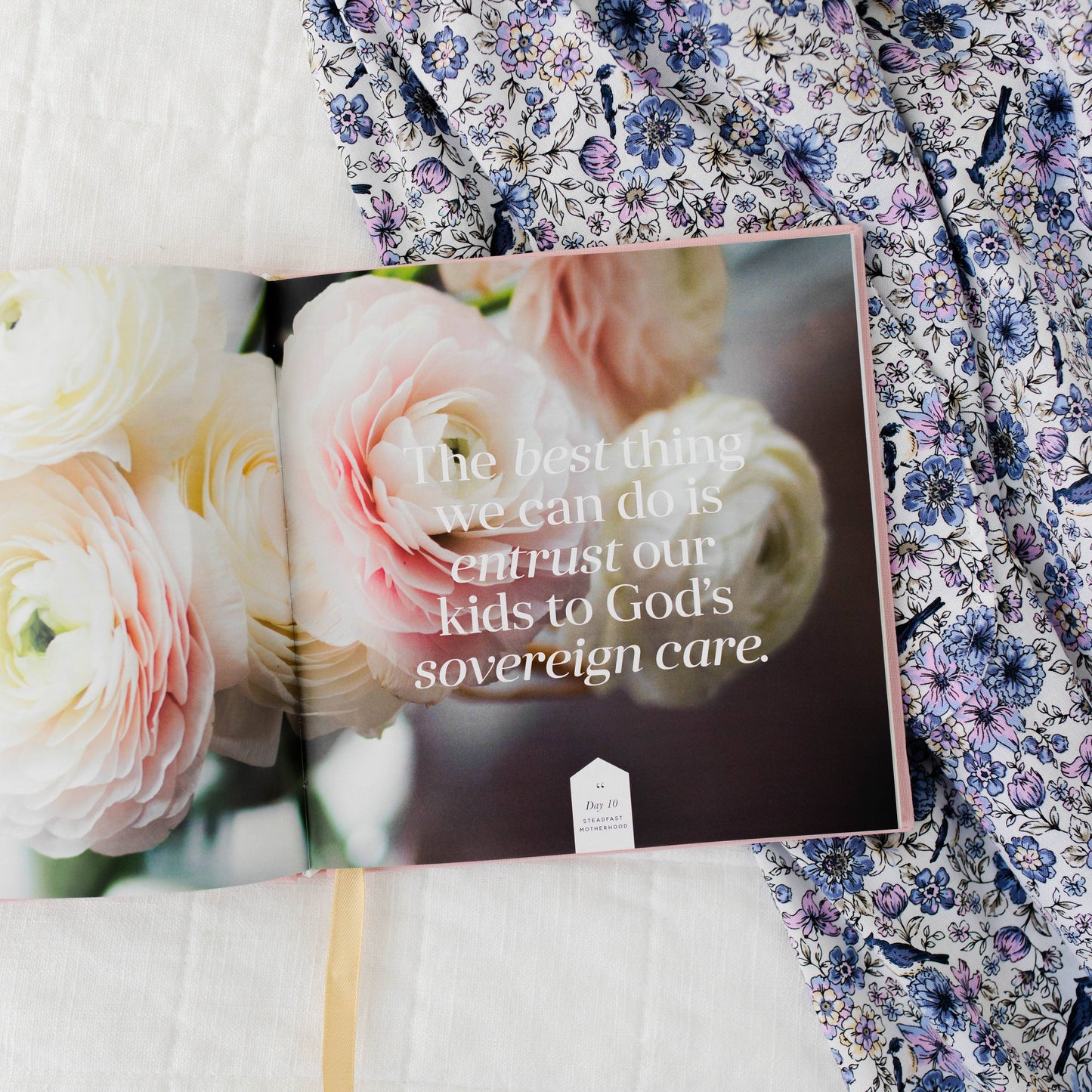 Steadfast Motherhood by The Daily Grace Co | 60 Days of Abiding in Christ