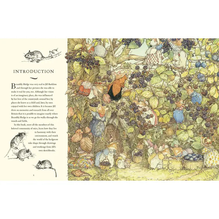A Visit to Brambly Hedge