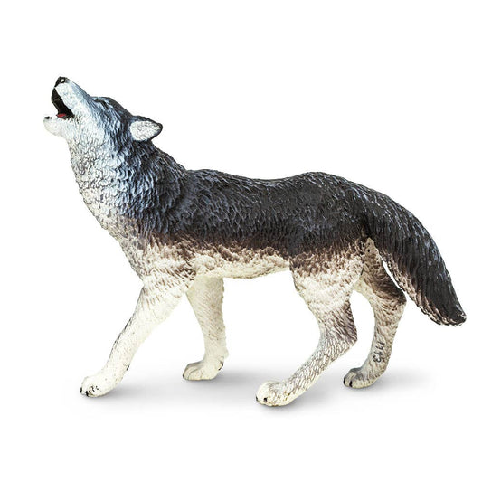Howling Gray Wolf