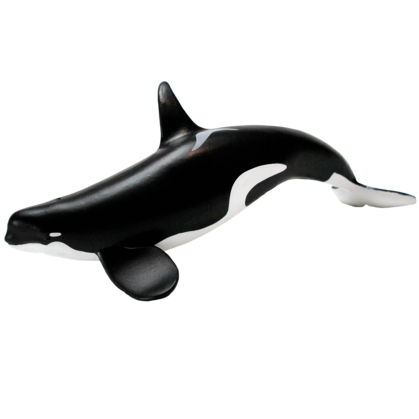 Orca