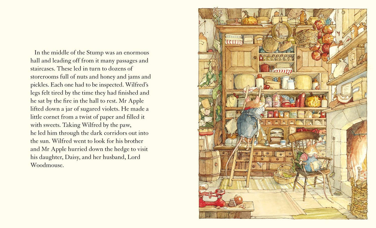 Spring Story | Jill Barklem