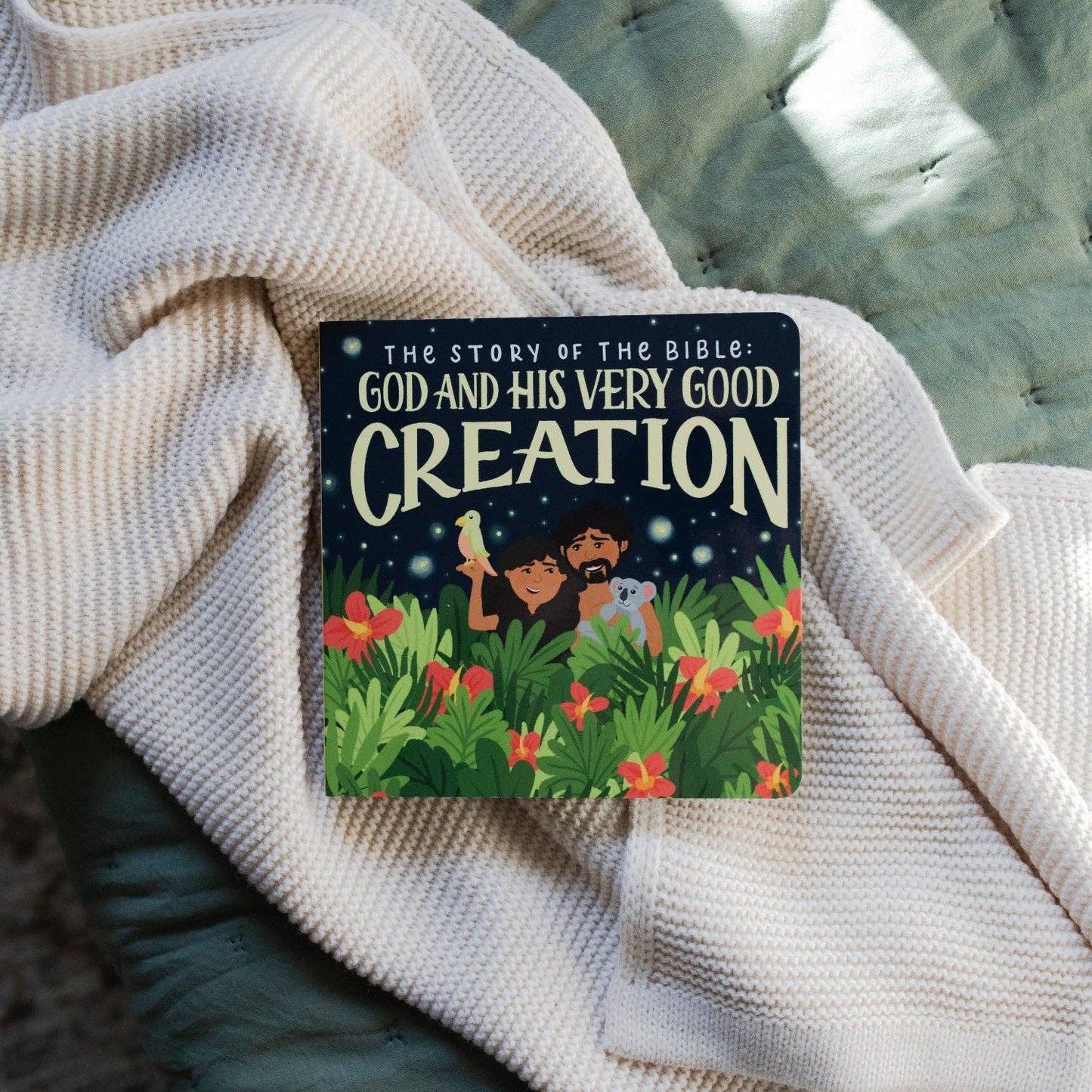 The Story of the Bible: God and His Very Good Creation by The Daily Grace Co