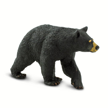 Black Bear