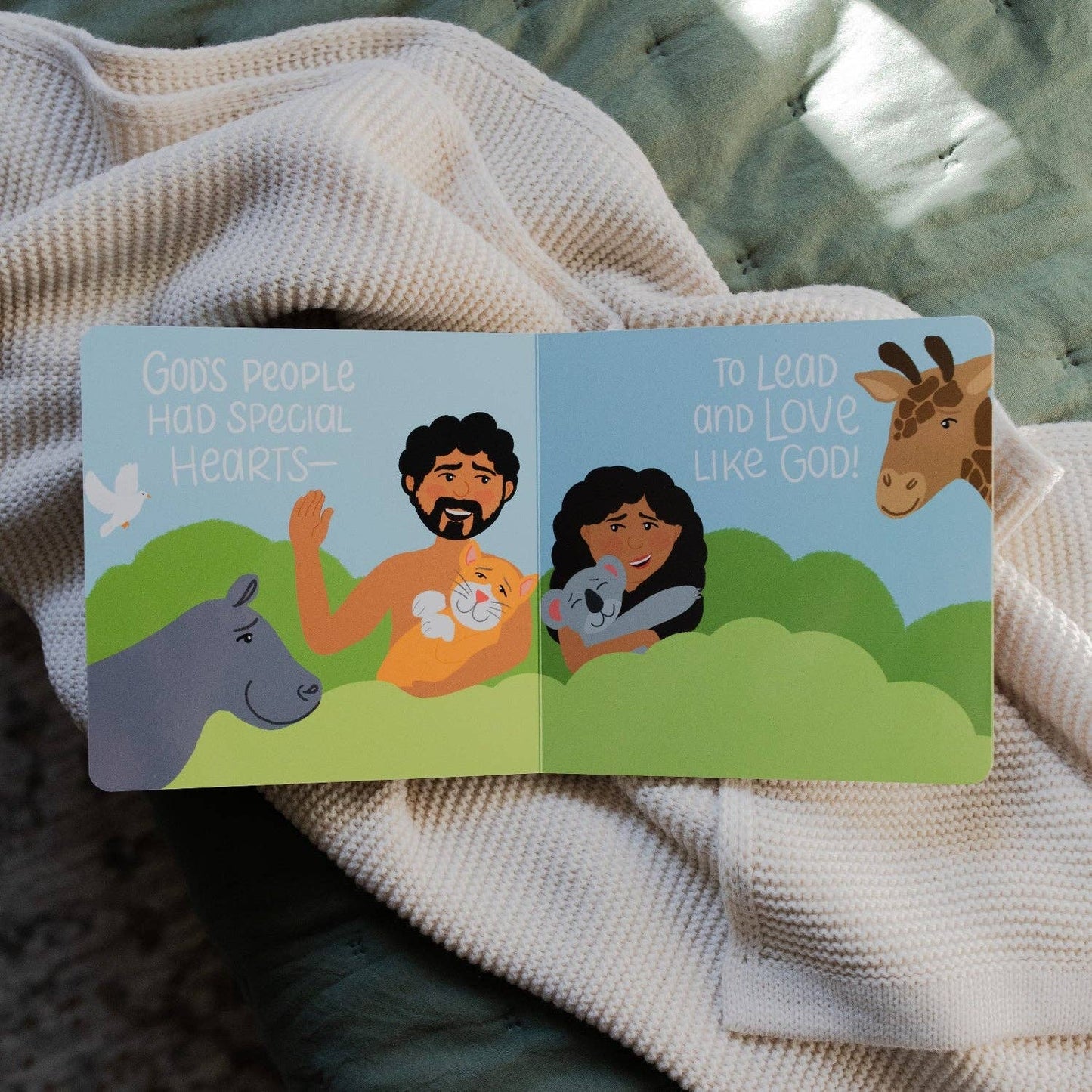 The Story of the Bible: God and His Very Good Creation by The Daily Grace Co