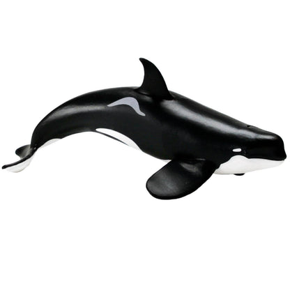 Orca