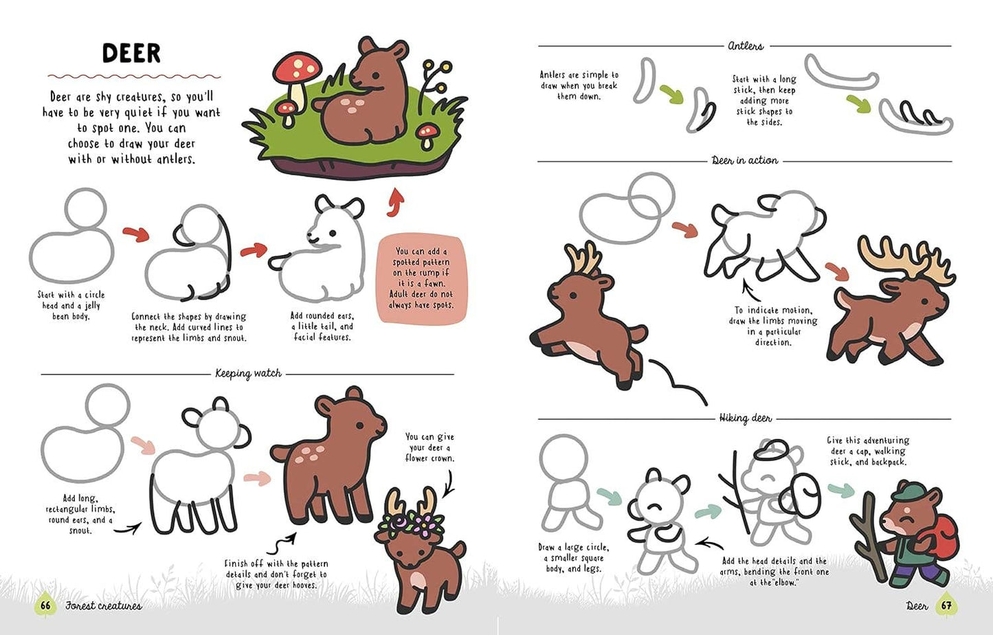 How to Draw Cute Woodland Friends | Angela Nguyen