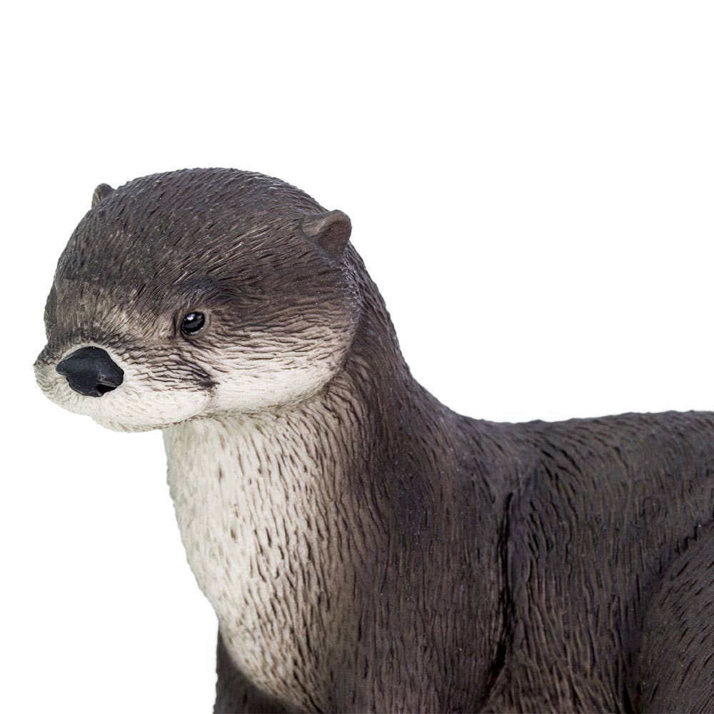 River Otter