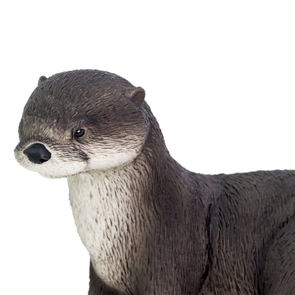River Otter