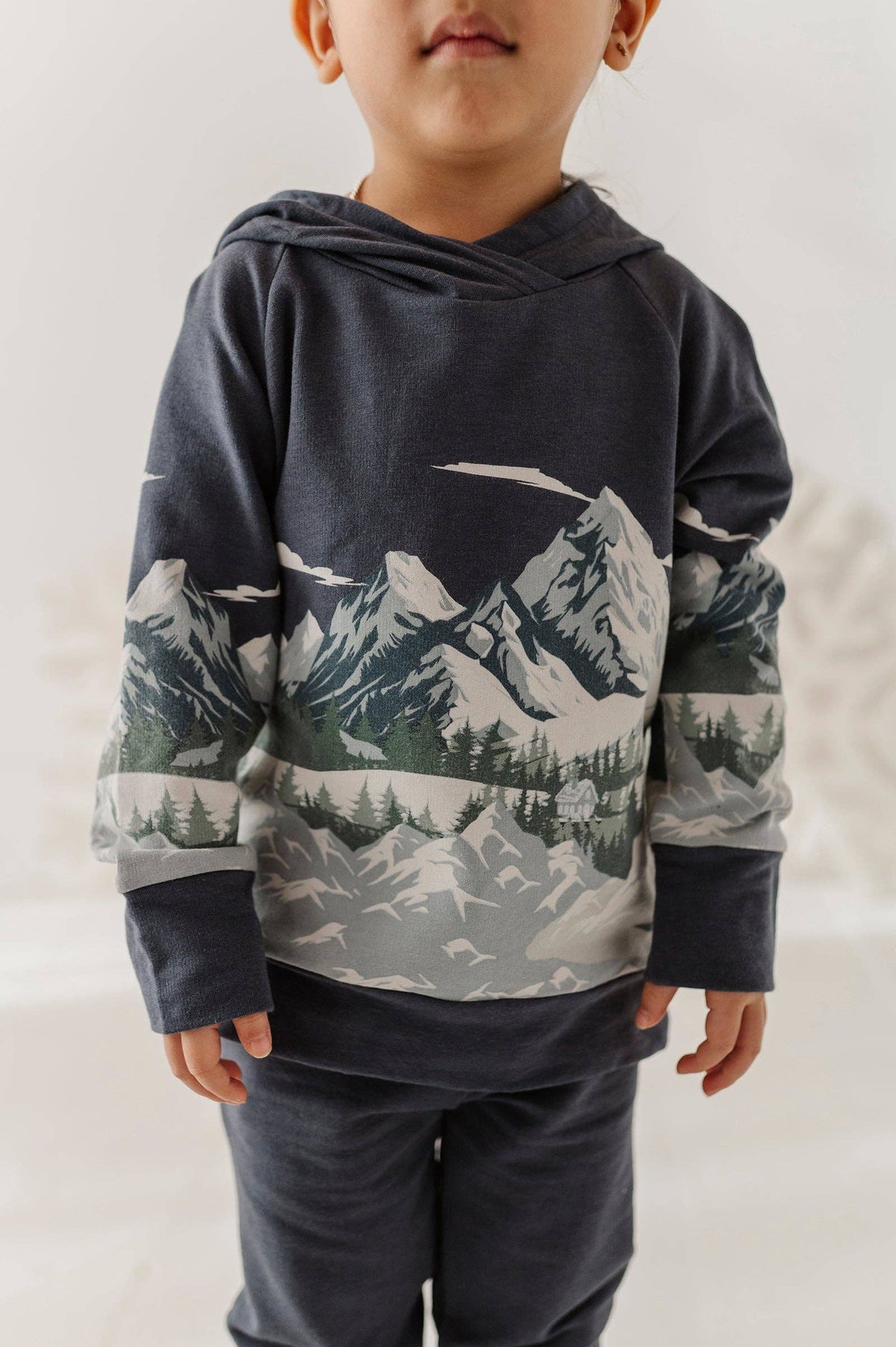Scenic Raglan Hoodie
