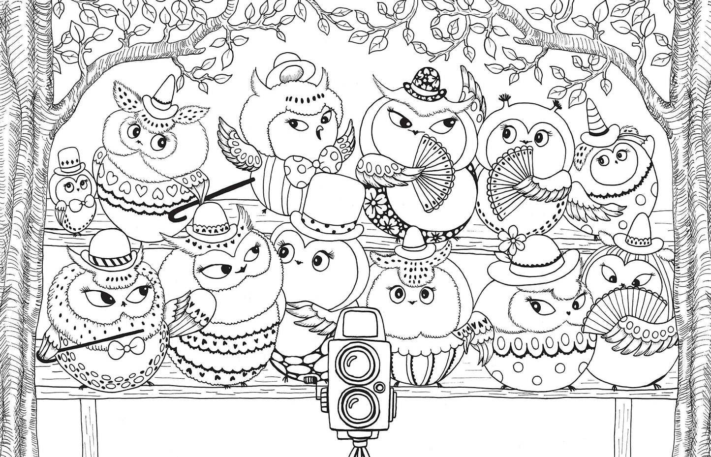 A Million Owls Coloring Book