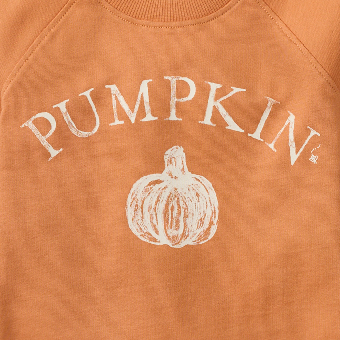Organic Cotton Sweatshirt | Burt's Bees Baby | Pumpkin