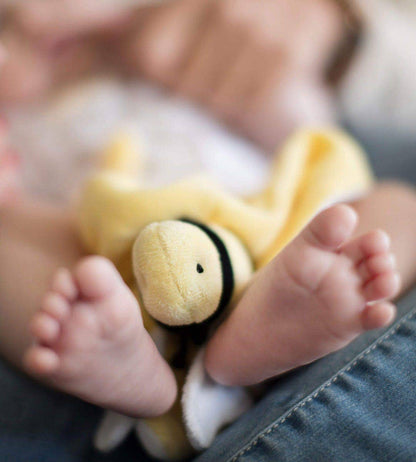 Hold Me Bee Organic Plush Lovey: Sunshine