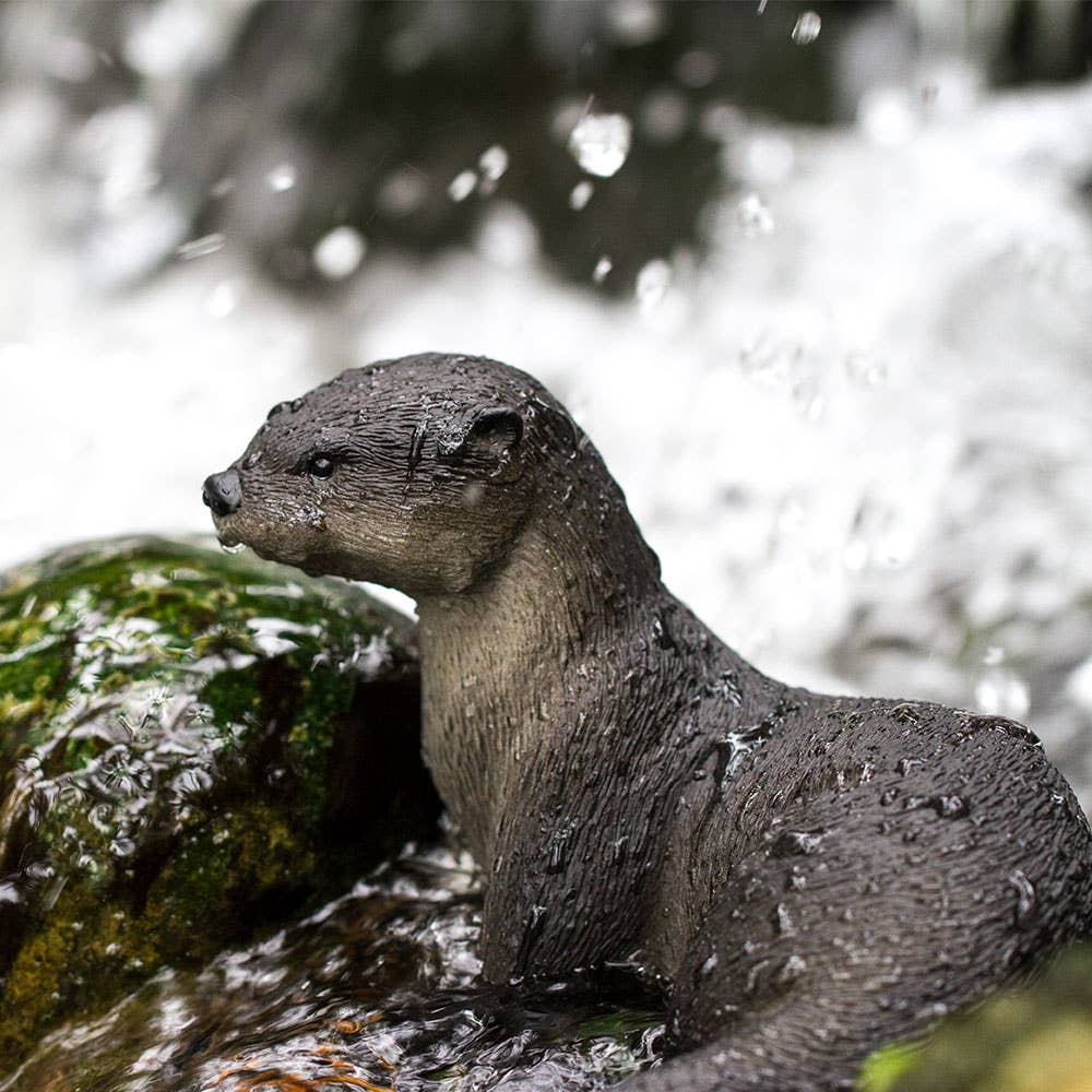 River Otter
