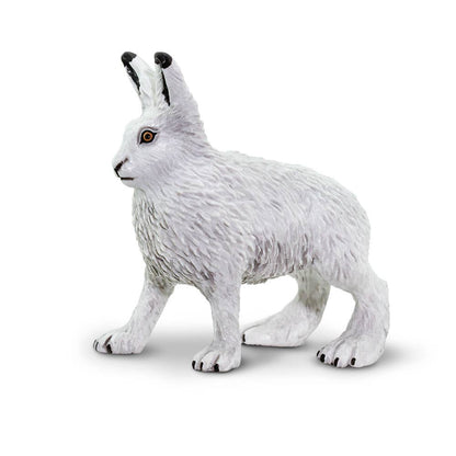 Arctic Hare