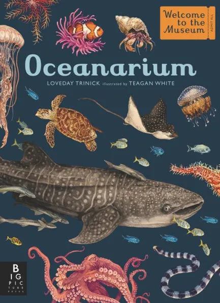 Oceanarium - Book