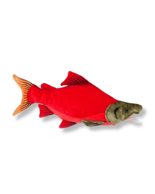 Sockeye Salmon Plush