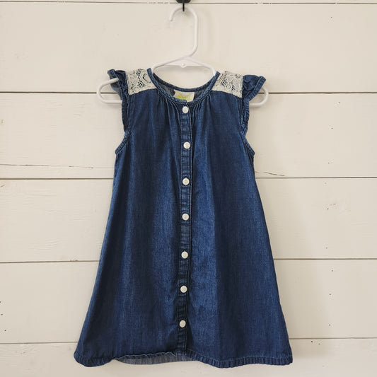 Size 3t | Crazy 8 Dress