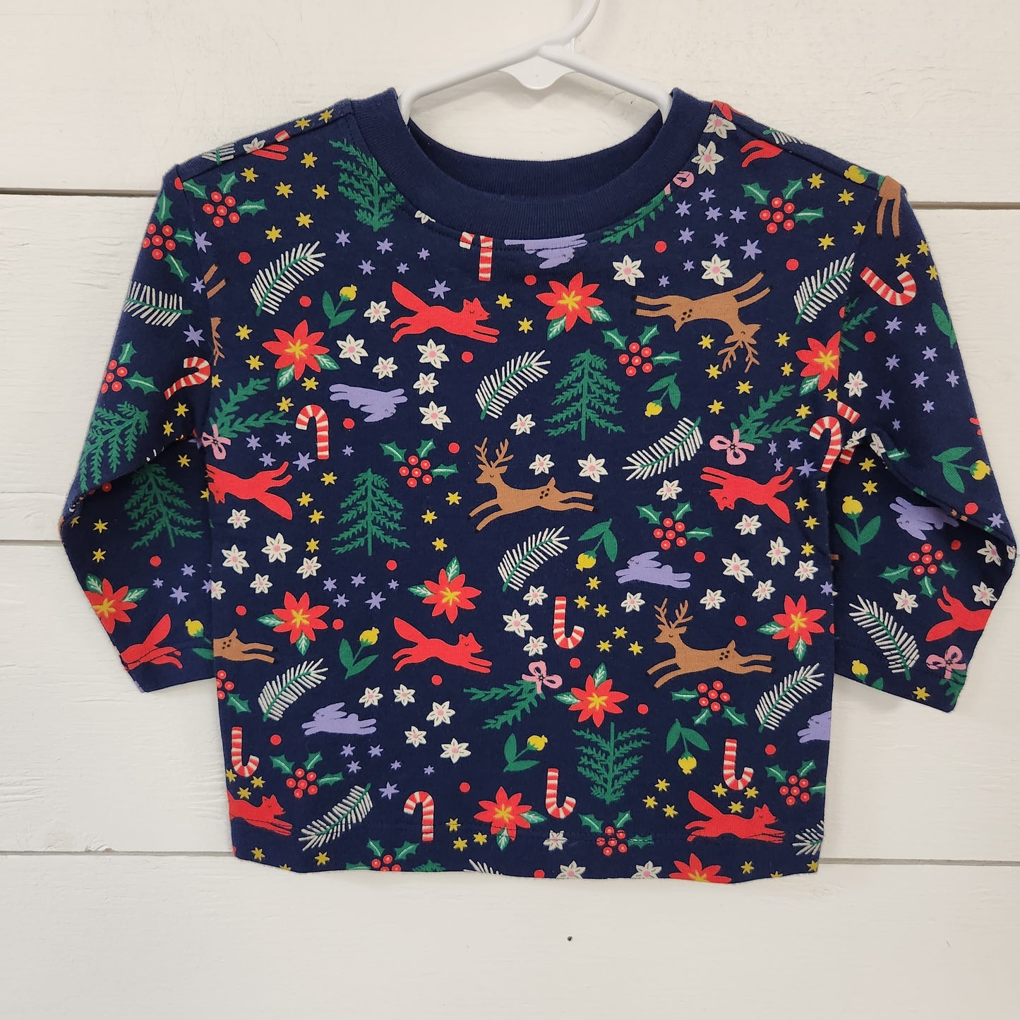 Size 12-18m | Hanna Andersson Longsleeve Shirt