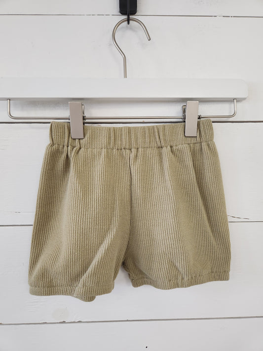 Size 4t | Knotted Fern Green Shorts
