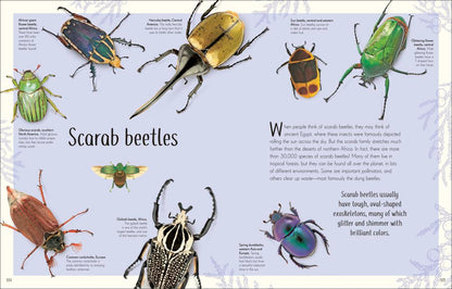 Remarkable Bugs | DK Children`s Anthologies