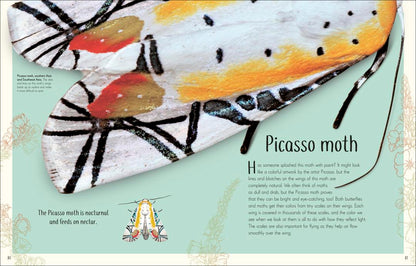 Remarkable Bugs | DK Children`s Anthologies