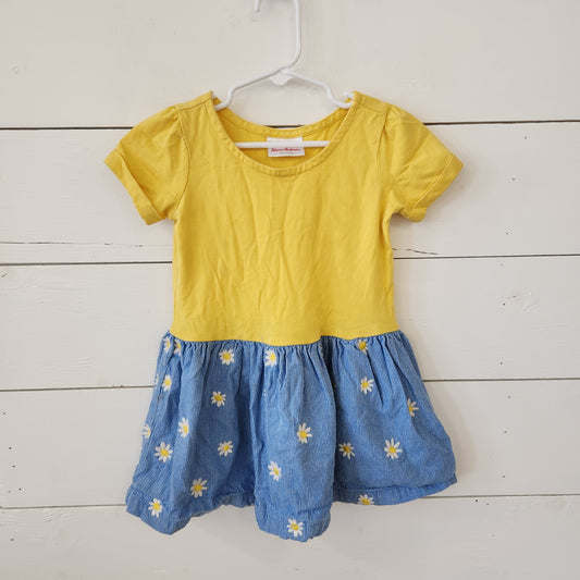 Size 3t | Hanna Andersson Daisy Dress