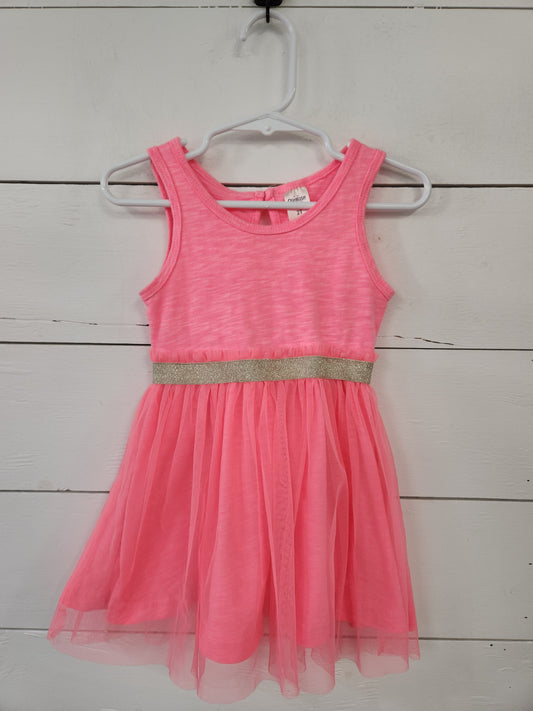 Size 2t | Oshkosh Tulle Dress