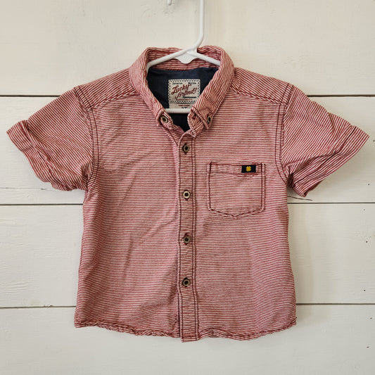 Size 3t | Lucky Buttondown