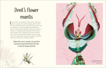 Remarkable Bugs | DK Children`s Anthologies