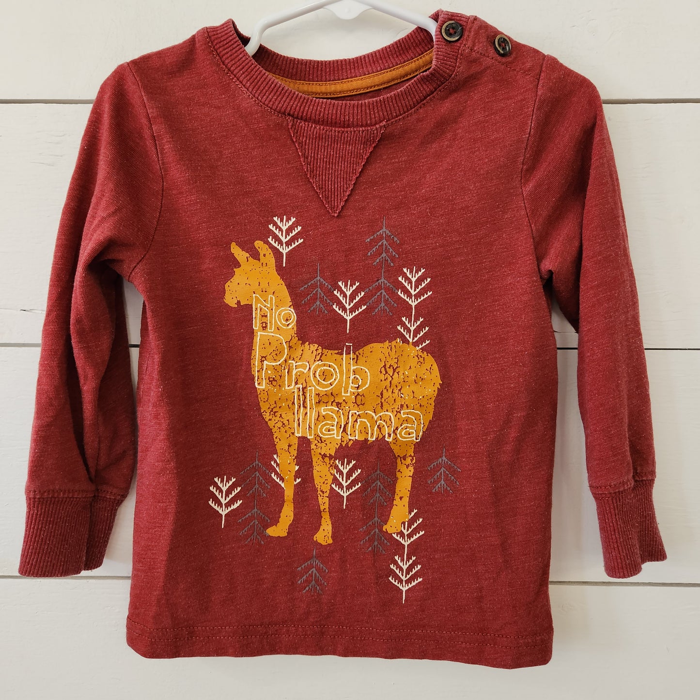 Size 2t | Oshkosh Llama Long Sleeve Shirt