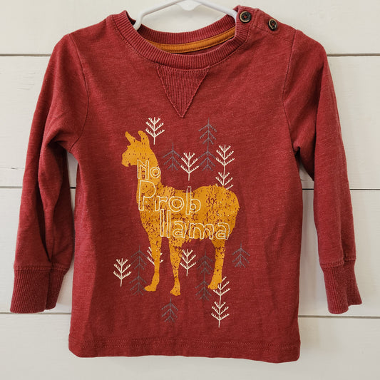 Size 2t | Oshkosh Llama Long Sleeve Shirt