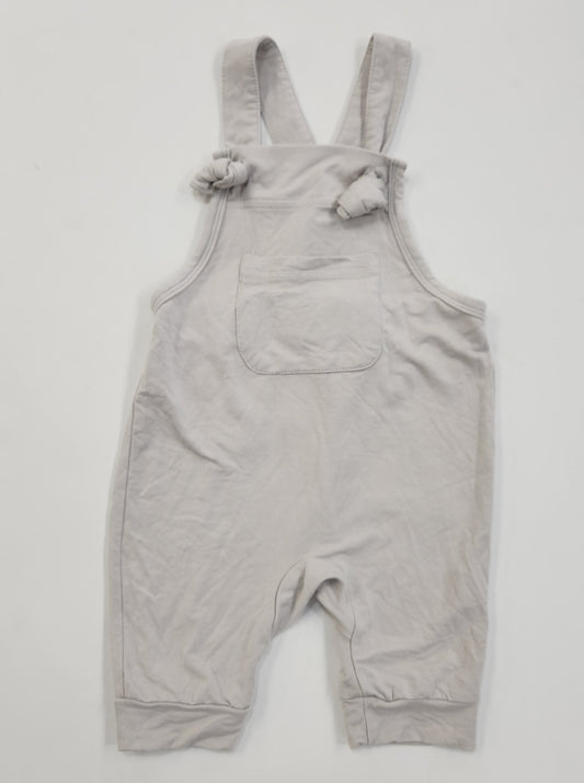 Size 2t | Cactus Wren Bamboo Overalls