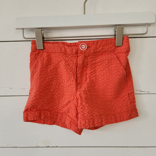 Size 4 | Gymboree Shorts