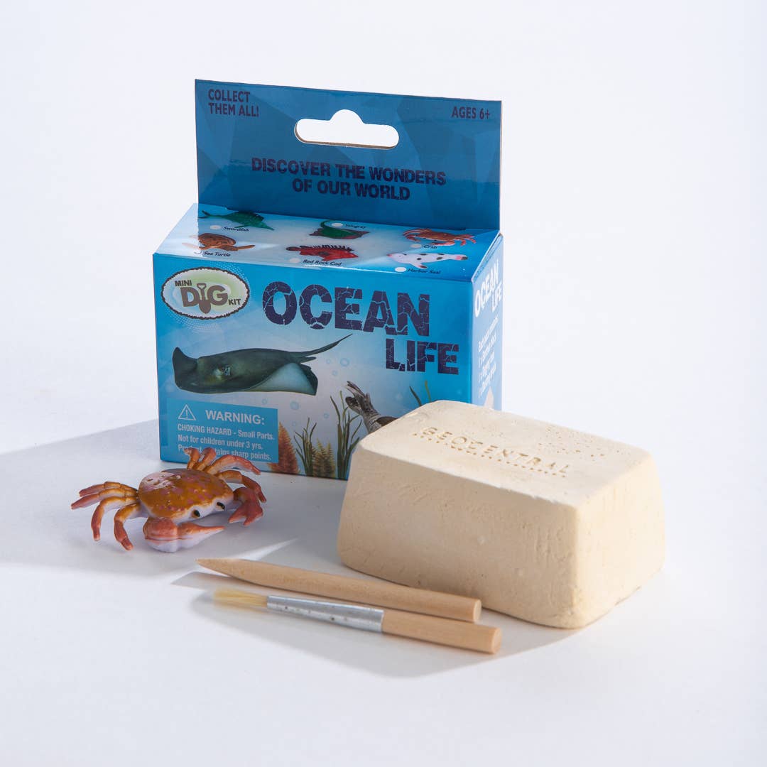 Mini Excavation Kit by Geo Central | Ocean Life