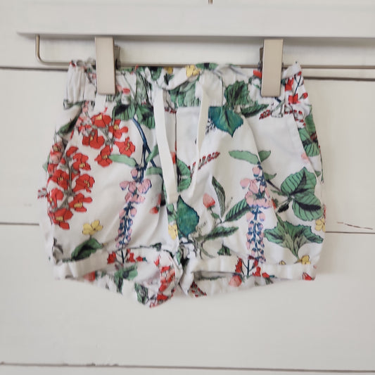 Size 2t | Gap Shorts | Secondhand