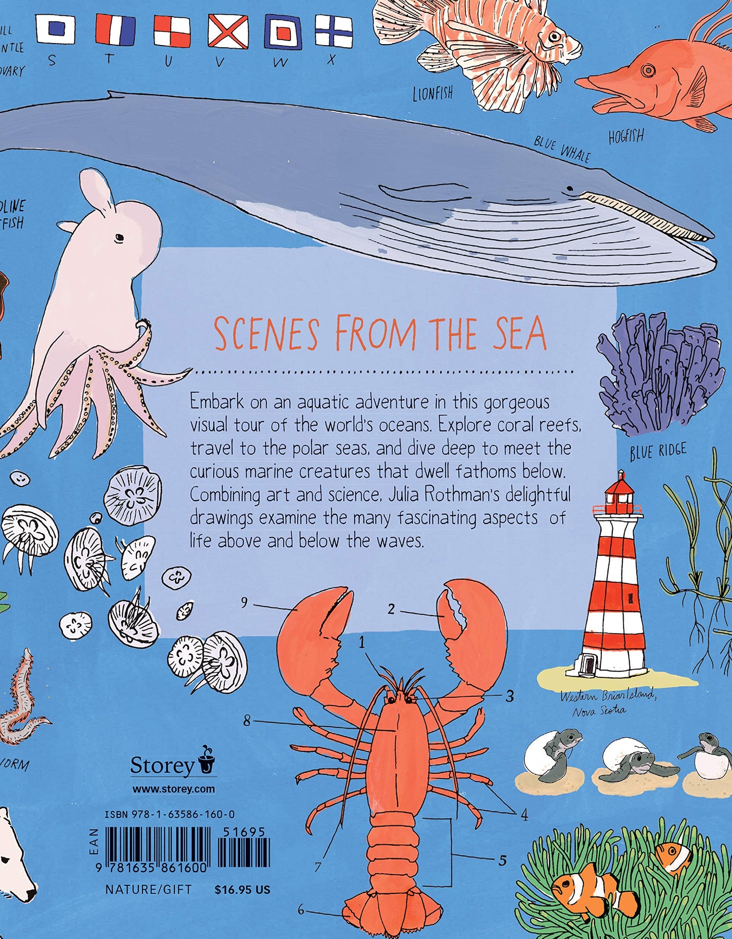 Ocean Anatomy: The Curious Parts & Pieces Of The World Under The Sea