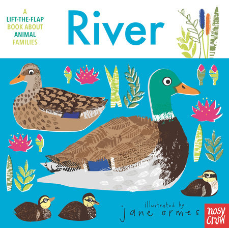 Animal Families: River - Board Book