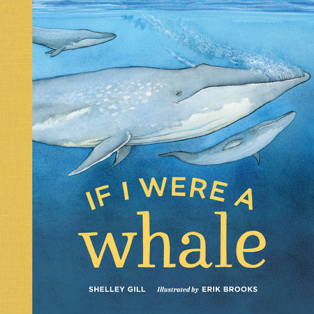 If I Were a Whale - Board Book