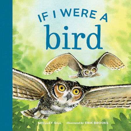 If I Were a Bird - Board Book