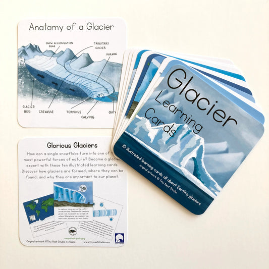 Learning Cards by Tiny Nest Studio | Earth's Glorious Glaciers