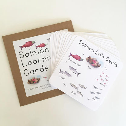 Learning Cards by Tiny Nest Studio | Salmon Life Cycle